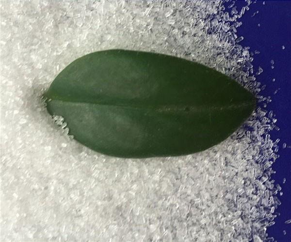 影響硫酸鎂廠家的產品價格的因素